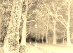 Sepia + Negatyw