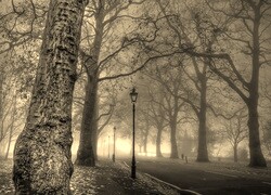Szary + Sepia