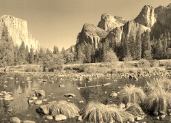 Szary + Sepia