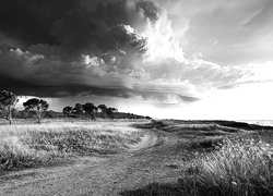 Szary + Sepia