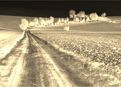 Sepia + Negatyw