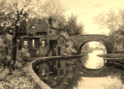 Szary + Sepia
