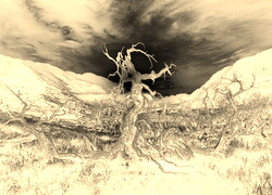 Sepia + Negatyw