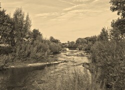 Szary + Sepia