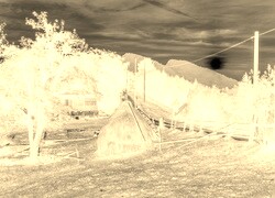 Sepia + Negatyw