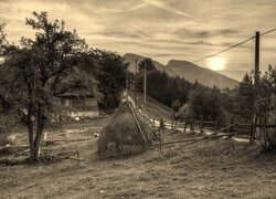Sepia
