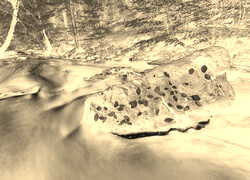 Sepia + Negatyw