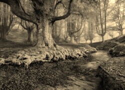 Sepia