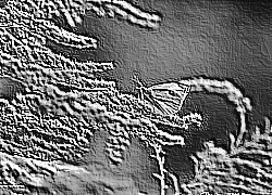 Skamielina