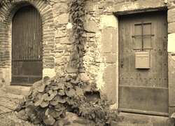 Szary + Sepia