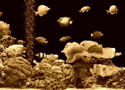 Sepia