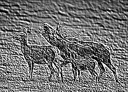 Skamielina