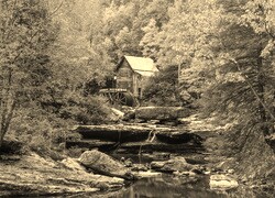 Szary + Sepia