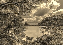 Szary + Sepia