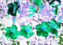 Negatyw