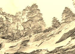 Sepia + Negatyw