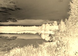 Sepia + Negatyw