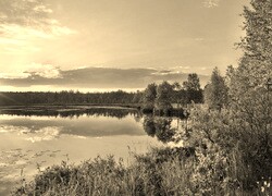 Szary + Sepia