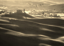 Szary + Sepia