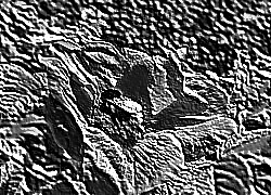 Skamielina