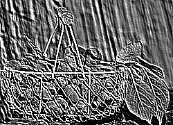 Skamielina