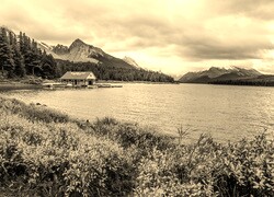 Sepia