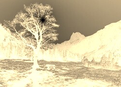 Sepia + Negatyw