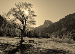 Szary + Sepia