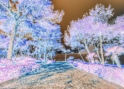 Negatyw