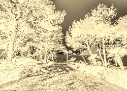 Sepia + Negatyw