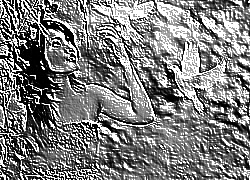 Skamielina