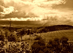 Sepia