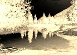 Sepia + Negatyw