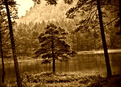 Sepia