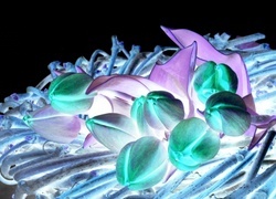 Negatyw