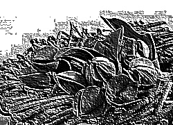 Skamielina