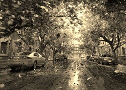 Szary + Sepia