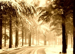 Sepia