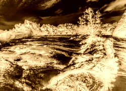 Sepia + Negatyw