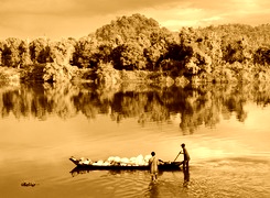 Sepia
