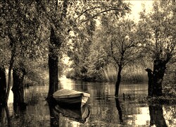 Sepia