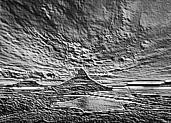 Skamielina