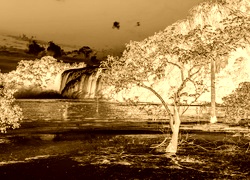 Sepia + Negatyw