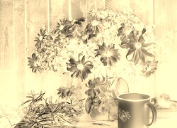 Sepia + Negatyw