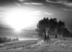 Szary + Sepia