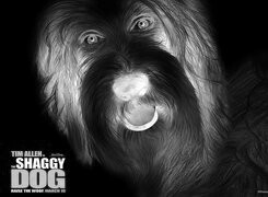 Szary + Negatyw