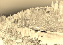Sepia + Negatyw
