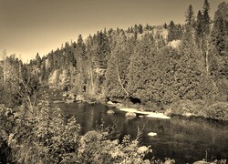 Sepia