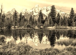 Szary + Sepia