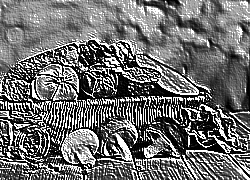 Skamielina